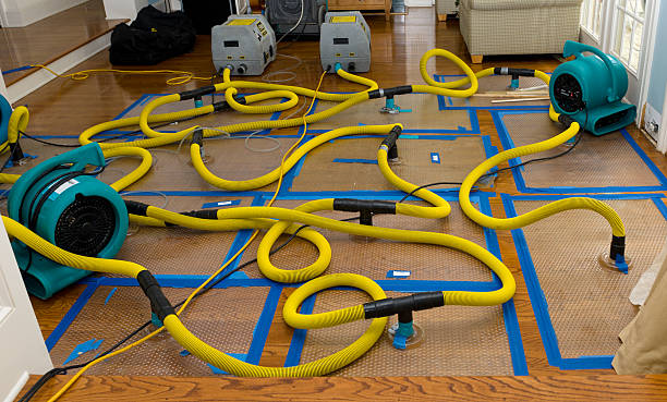 Professional Emergency Water Removal technician working in LaFayette, GA